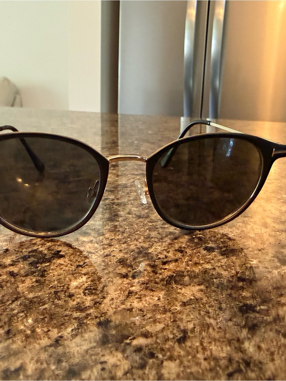 Tom Ford Black Frames with Gold Bridge Round Sunglasses